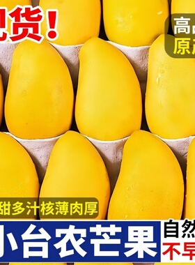 海南小台农芒果新鲜现摘小台芒应季热带水果特产整箱芒果包邮批发