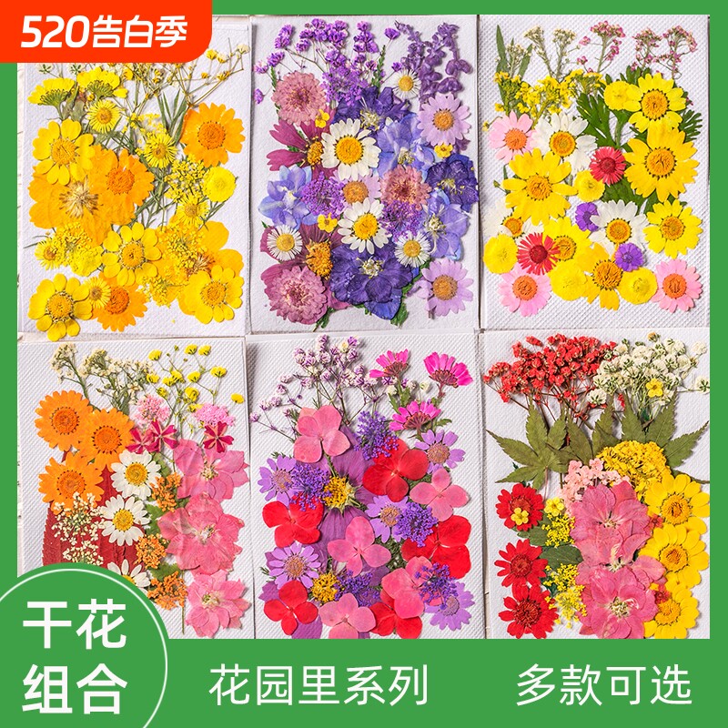 干花押花压花手工真花书签diy材料diy材料包树叶画满天星