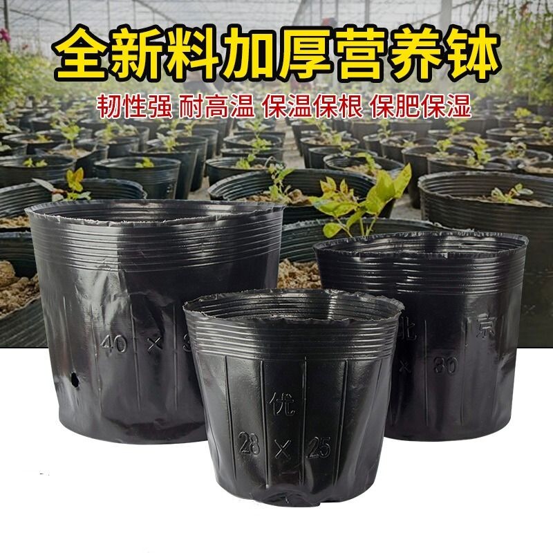 伊槿营养杯育苗杯营养钵图片