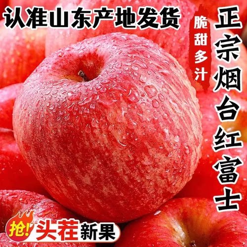 正宗山东烟台栖霞红富士苹果新鲜水果当季红富士冰糖心脆甜现摘