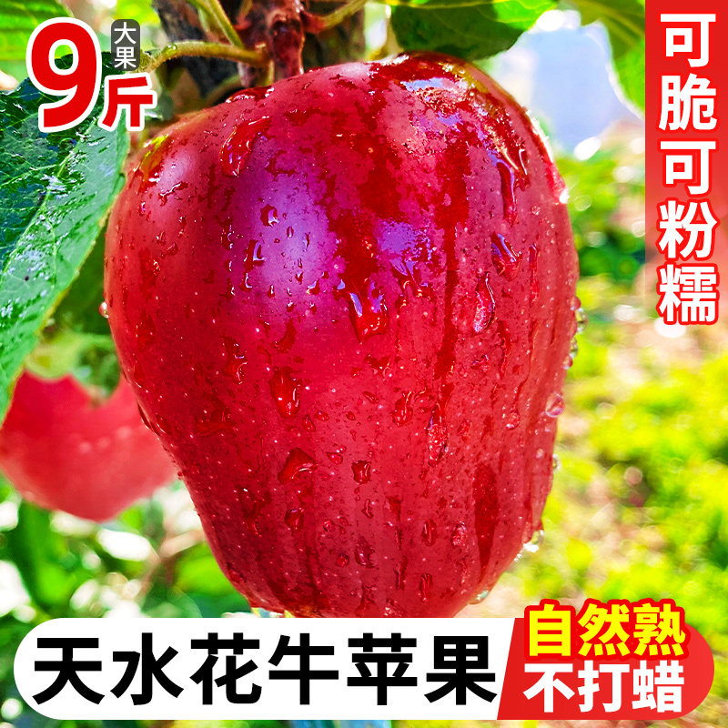 甘肃天水花牛苹果9斤新鲜当季水果红蛇粉面丑平安圣诞果整箱包邮,水产肉类/新鲜蔬果/熟食,苹果,淘宝优惠券,粉丝福利购,淘宝优惠卷