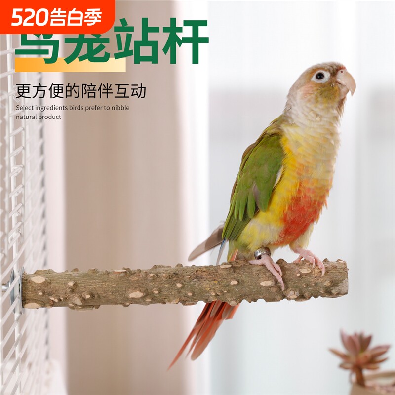 鹦鹉花椒木站杆八哥专用桌面训练架子站架磨爪磨牙小鸟笼配件大全