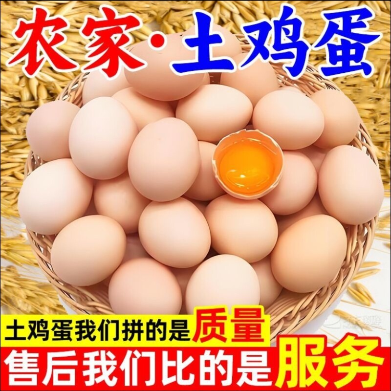 山林散养土鸡蛋55g+大蛋新鲜鸡蛋现捡现发孕妇儿童辅食蛋营养早餐