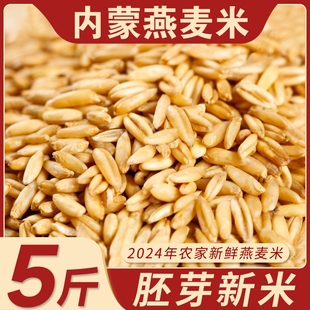 內蒙農家燕麥米24年新米生燕麥仁粒胚芽米粗糧早餐粥原料五谷雜糧