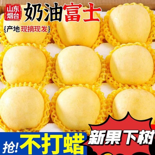 特级烟台黄金奶油苹果脆甜栖霞富
