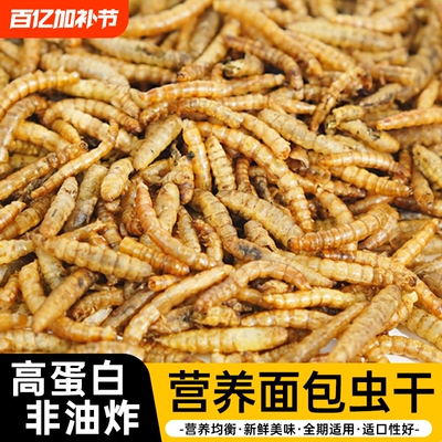 面包虫干黄粉虫喂鸟虎皮乌龟仓鼠龙鱼食龟鳖零食饵料守宫蜥蜴饲料