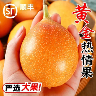 云南西双版 纳热情果当季 水果哥伦比亚纯甜黄金百香果 顺丰快递