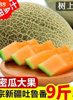 正宗新疆哈密瓜西州蜜瓜当季新鲜水果吐鲁番蜜瓜一整箱包邮