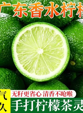 海南青柠檬新鲜当季水果皮薄肉厚香水多汁孕妇儿童饮品10无籽