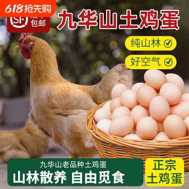 皖南土鸡蛋正宗九华山散养笨鸡蛋柴鸡蛋月子蛋绿壳乌鸡蛋顺丰新鲜