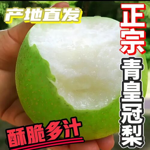 新鲜皇冠梨青皮皇冠梨当季水果