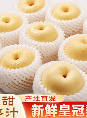 河北脆甜皇冠梨薄皮汁水足当季新鲜水果批发整箱包邮梨子酥脆