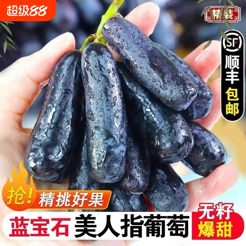 顺丰包邮金手指葡萄黑提蓝宝石美人指提子无籽甜水果新鲜2/3/4斤