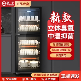 消毒柜小型商用家用消毒碗柜碗筷餐饮厨房立式 正品 烘干双门密胺