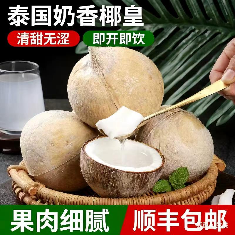 泰国进口牛奶椰皇新鲜椰子新鲜青椰汁奶香水果老椰肉煲汤整箱包邮