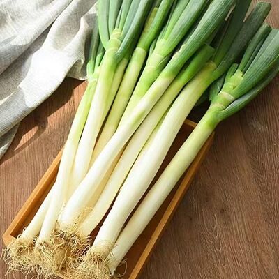 东北大葱应季新挖大葱铁杆大葱炒菜作料配菜整箱发出蔬菜果蔬