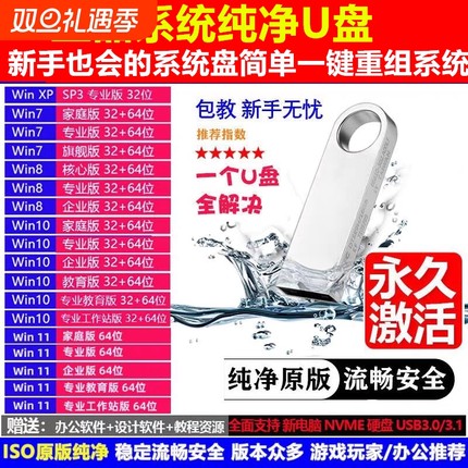 系统U盘win11专业版10家庭一键安装激活PE启动7旗舰版xp电脑优盘