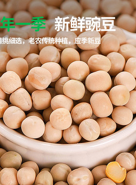农家新货白豌豆干货生豌豆干豌豆粒打豆浆新鲜杂粮优质健康碳水