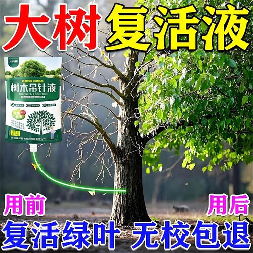 大树营养液吊针液果树木复活液桂花树专用营养液移栽生根剂通用型