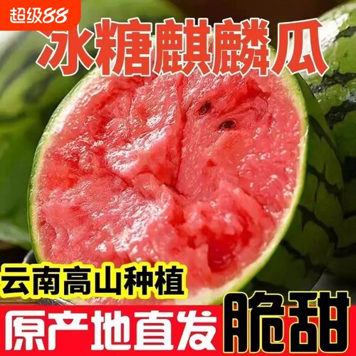 正宗冰糖麒麟西瓜西瓜新鲜水果应季薄皮现摘整少籽箱超甜一整个瓜