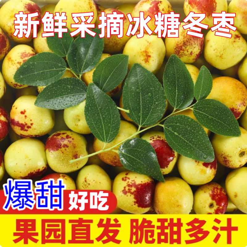 正宗冬枣脆甜新鲜大果应季整箱枣子现摘脆枣冰糖大枣5斤当季水果