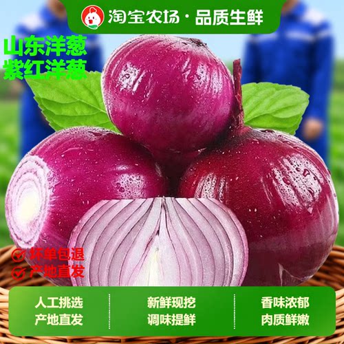 山东紫皮洋葱新鲜水果蔬菜生吃鲜辣甜脆时令农家自种圆葱头种植