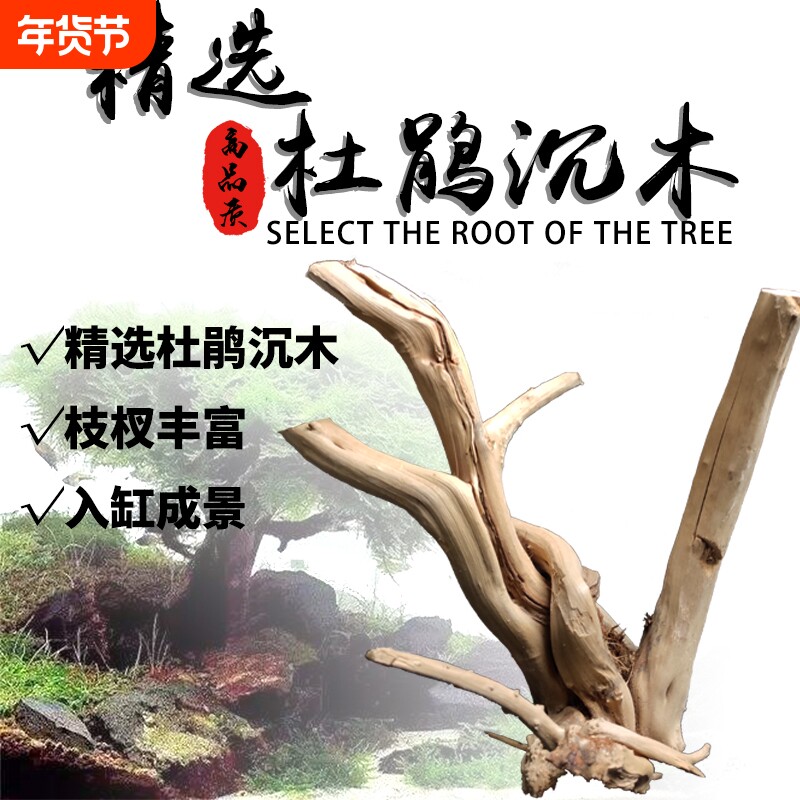 造景沉木水榕 杜鹃根莫斯真水草树根头鱼缸装饰造景树头天然栖根