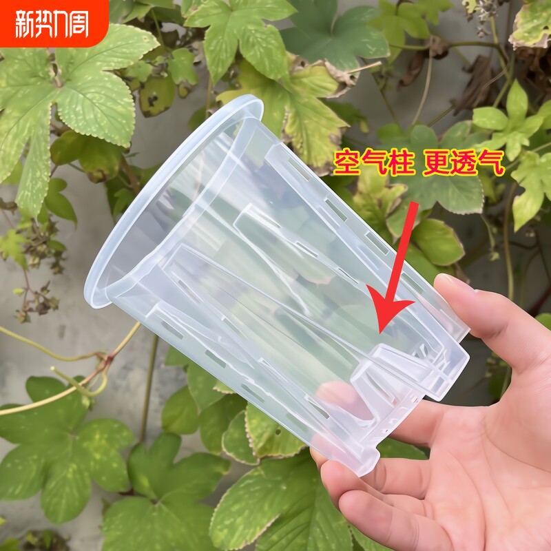 空气柱控根盆盆栽石斛蝴蝶兰扦插观根种植实验塑料盆桌面种花新款