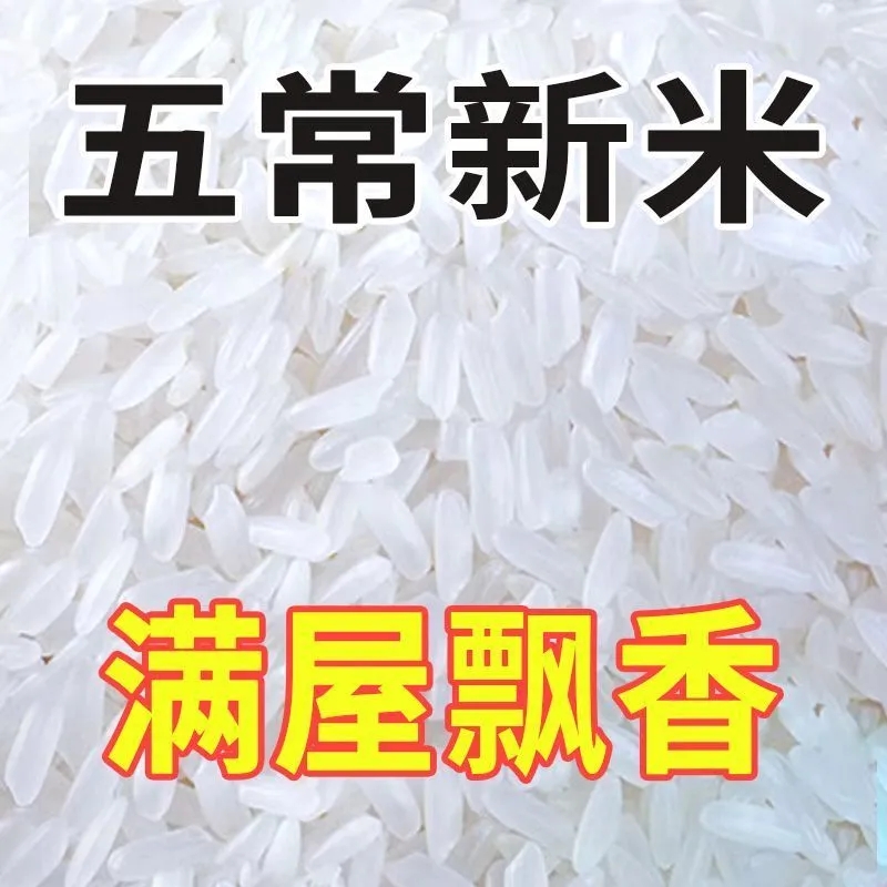 【新米】东北五常稻香长粒香5斤10斤20斤厂家直销大米批发便宜