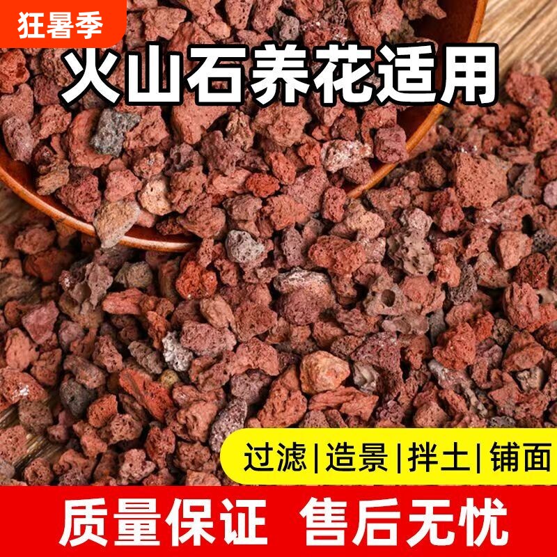 精筛天然火山石铺面兰花专用拌土火山岩颗粒高温灭菌多肉专用土 - 实物图