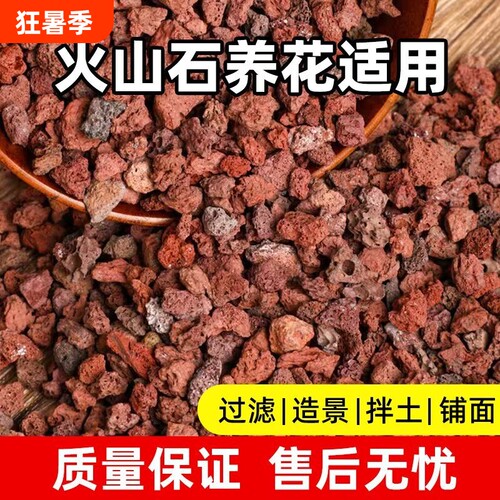 盆栽兰花专用铺面拌土火山石