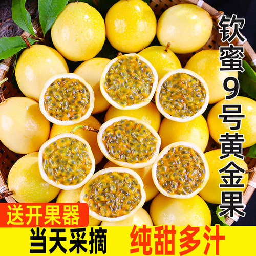 广西钦蜜9号黄金百香果新鲜水果当季产地原浆果酱奶茶店纯甜现摘