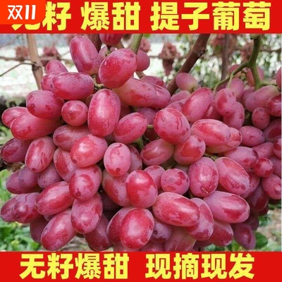 现摘克伦生无籽红提子葡萄新鲜无籽脆甜冰美人提子水果批发一整箱