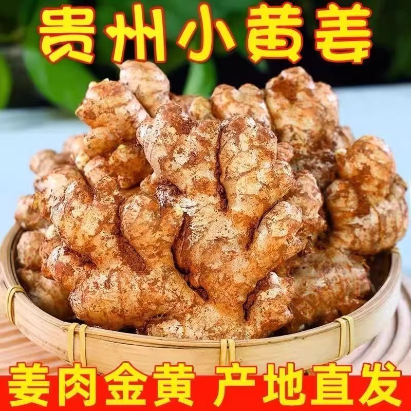 贵州小黄姜新鲜现挖本地仔姜当季生姜特级农家鲜姜辛辣煲汤