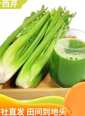 正宗西芹专用新鲜自种榨汁农家优质绿色脆嫩青菜芹菜时令蔬菜批发