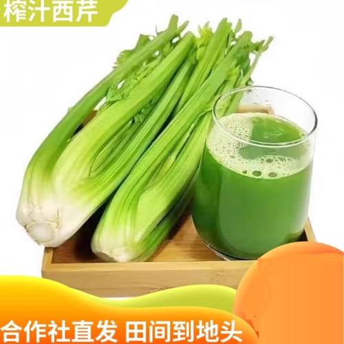 正宗西芹专用新鲜自种榨汁农家优质绿色脆嫩青菜芹菜时令蔬菜批发