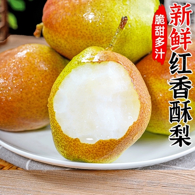 红香酥梨梨子新鲜水果应季整箱香梨包邮应季香甜酥脆当季新鲜梨子
