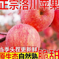 正宗陕西延安洛川红富士苹果正宗甜脆多汁当季不打蜡生鲜水果整箱