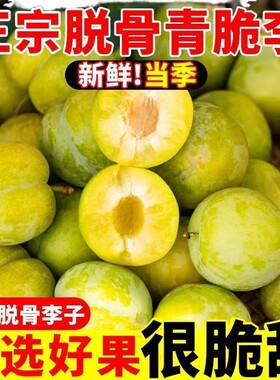 正宗四川青脆脱骨李子