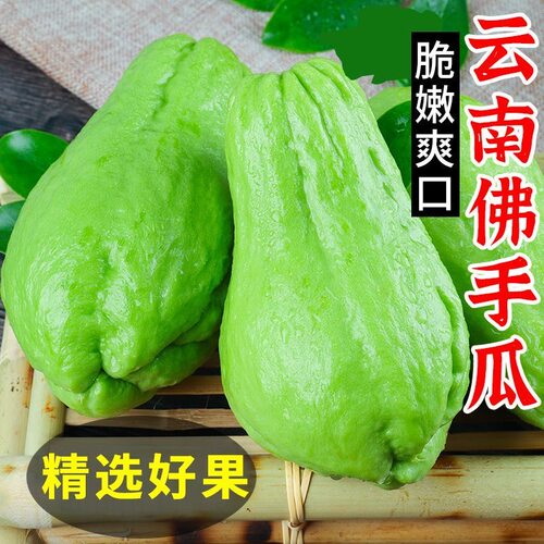 云南佛手瓜新鲜现摘农家蔬菜嫩瓜