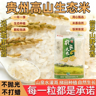 贵州农家梯田大米新米长粒香米