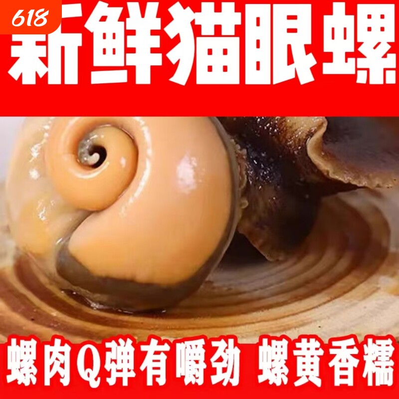 海鲜水产大猫眼螺 大沙螺红香螺新鲜猫眼螺玉螺海鲜贝类海螺