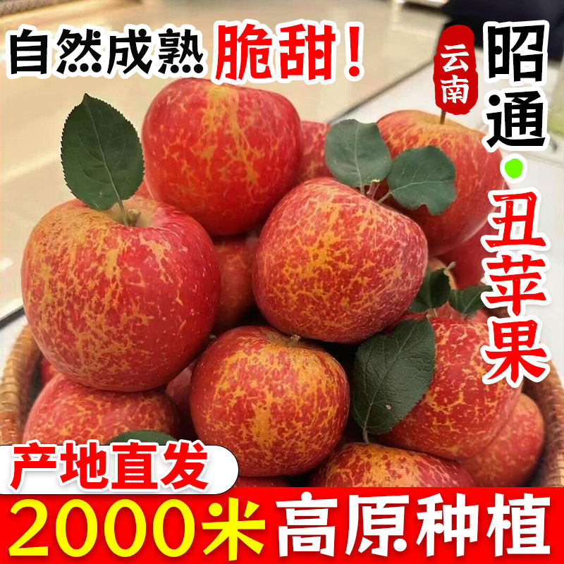 2025年云南昭通丑苹果新鲜昭通市冰糖心富士苹果水果当季整箱,水产肉类/新鲜蔬果/熟食,苹果,淘宝优惠券,粉丝福利购,淘宝优惠卷