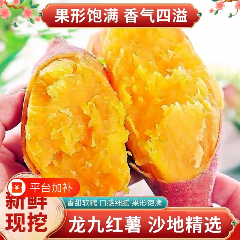 正宗蜜薯龙九沙地红心现挖黄心番薯新鲜糖心地瓜板栗红薯山芋批发