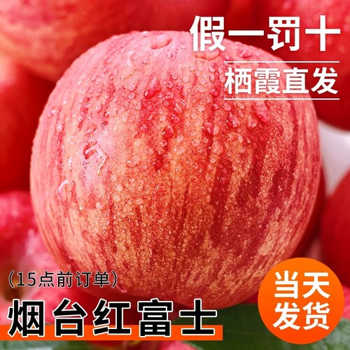 山东烟台红富士苹果栖霞红富士应季孕妇水果新鲜冰糖心苹果脆甜