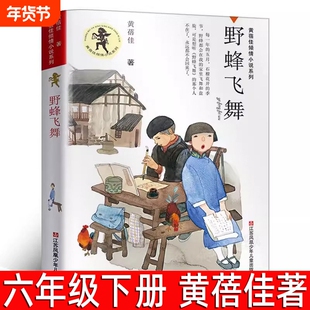 野蜂飞舞黄蓓佳著六年级下册必读课外书小学生四五年级上册阅读书籍儿童文学故事江苏凤凰少年儿童出版社小说旅行精选升旗手