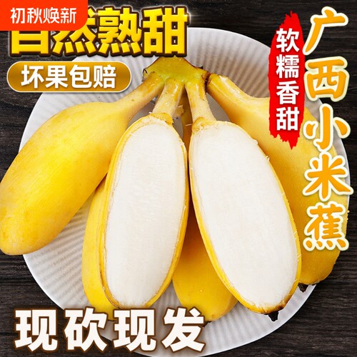正宗广西小米蕉新鲜|117人收藏
