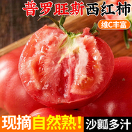 普罗旺斯西红柿沙瓤5斤新鲜水果自然熟生吃番茄蔬菜整箱包邮