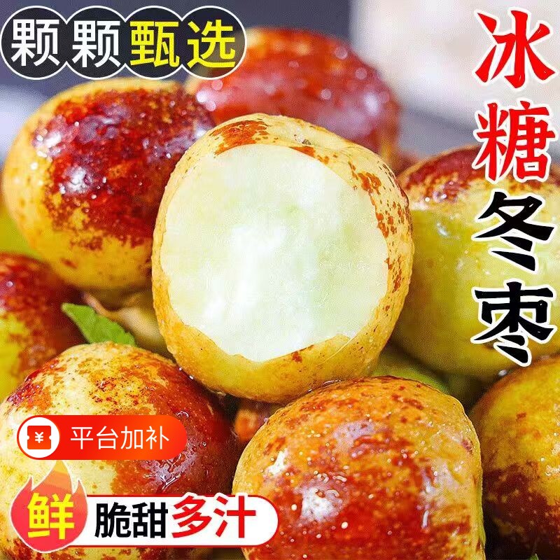【山东】正宗沾化冬枣沾冬脆甜枣子皮薄肉厚应季新鲜水果产地直发