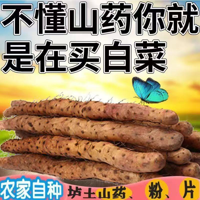 正宗铁棍山药新鲜铁杆淮山现挖小白嘴山药老品质自家种植当季蔬菜,水产肉类/新鲜蔬果/熟食,新鲜山药,淘宝优惠券,粉丝福利购,淘宝优惠卷